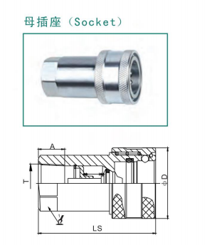 母體.png